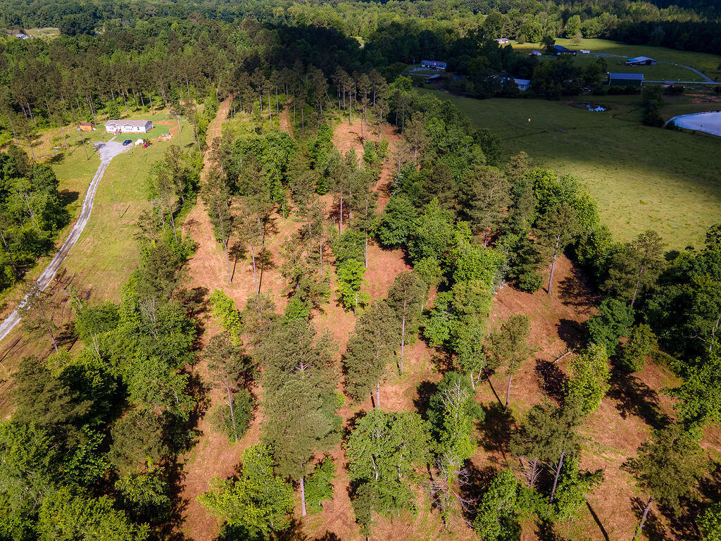 902 Johns Road Decatur, TN 37322 - Photo 9 of 26 Johns-4