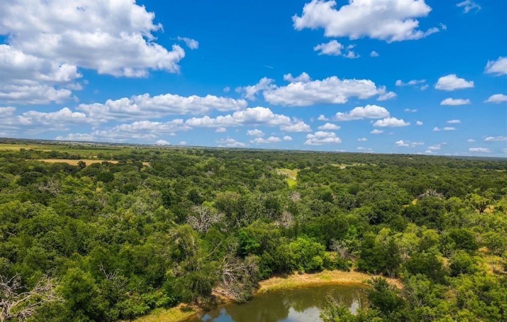 3976 Fm 1477 Comanche, TX 76442 - Photo 2 of 11 Expansive land featuring a dense tree canopy, open fields in the distance, and a natural body of water