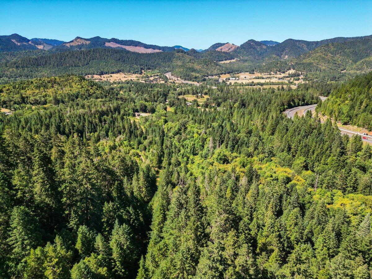 433 Old Stage Road Wolf Creek, OR 97497 - Photo 13 of 13 Aerial