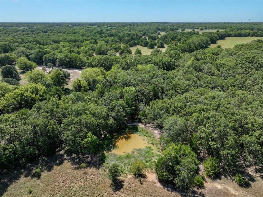 0 Fm 751 Road Wills Point, TX 75169 - Photo 14 of 32 a view of a green field
