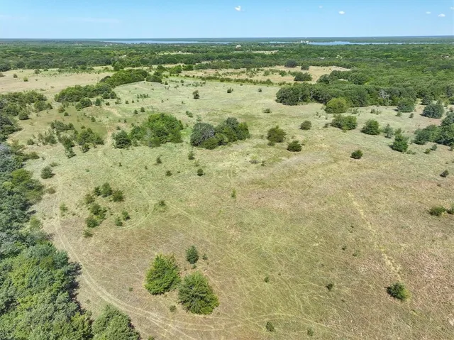 a view of a big yard with lots of green space