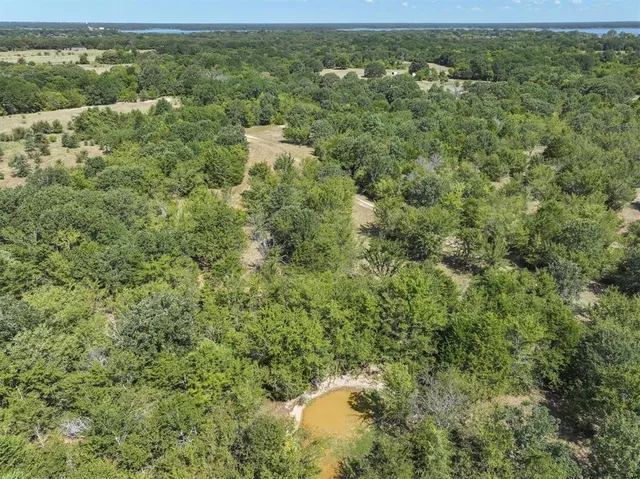 an aerial view of residential houses with outdoor space and trees