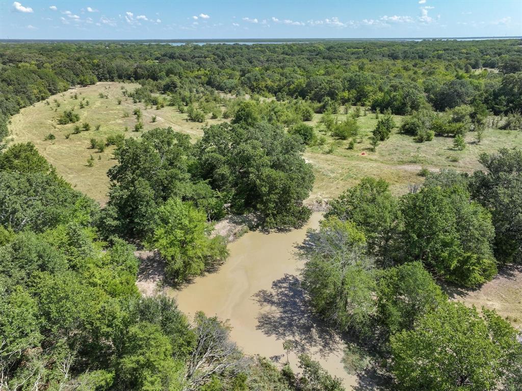 0 Fm 751 Road Wills Point, TX 75169 - Photo 24 of 32 a view of a lake with a mountain and trees