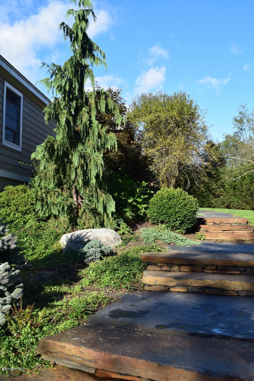 3136 State Road Richmond, MA 01254 - Photo 2 of 29 a view of a yard with potted plants