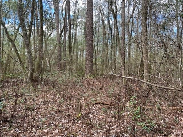 0 Adams Pond Road Opp, AL 36467 - Photo 9 of 19 Gallery Image 9