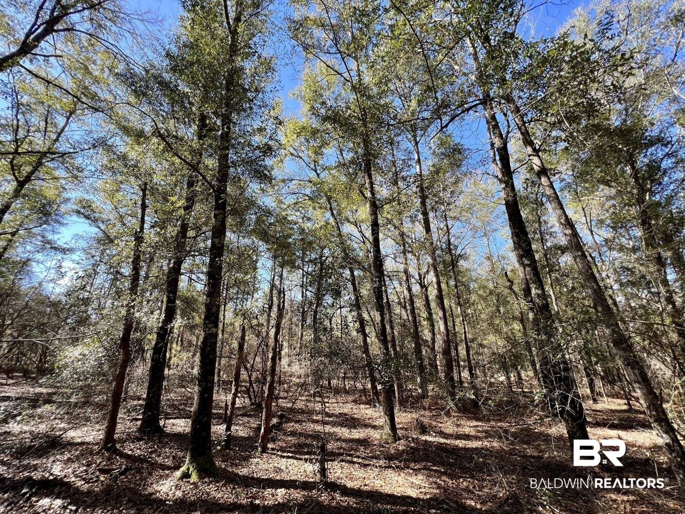 0 Dixon Road Bay Minette, AL 36507 - Photo 19 of 50