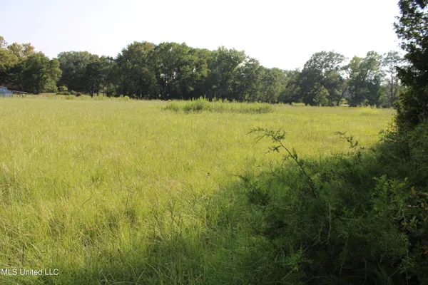 $1,500,000 | 294 Yandell Road, Canton, MS 39046