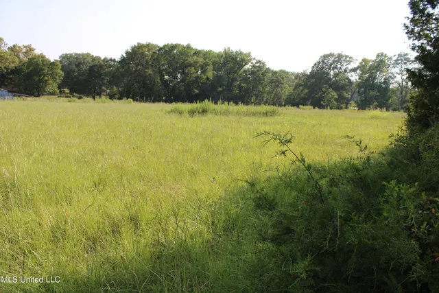 $1,500,000 | 294 Yandell Road, Canton, MS 39046