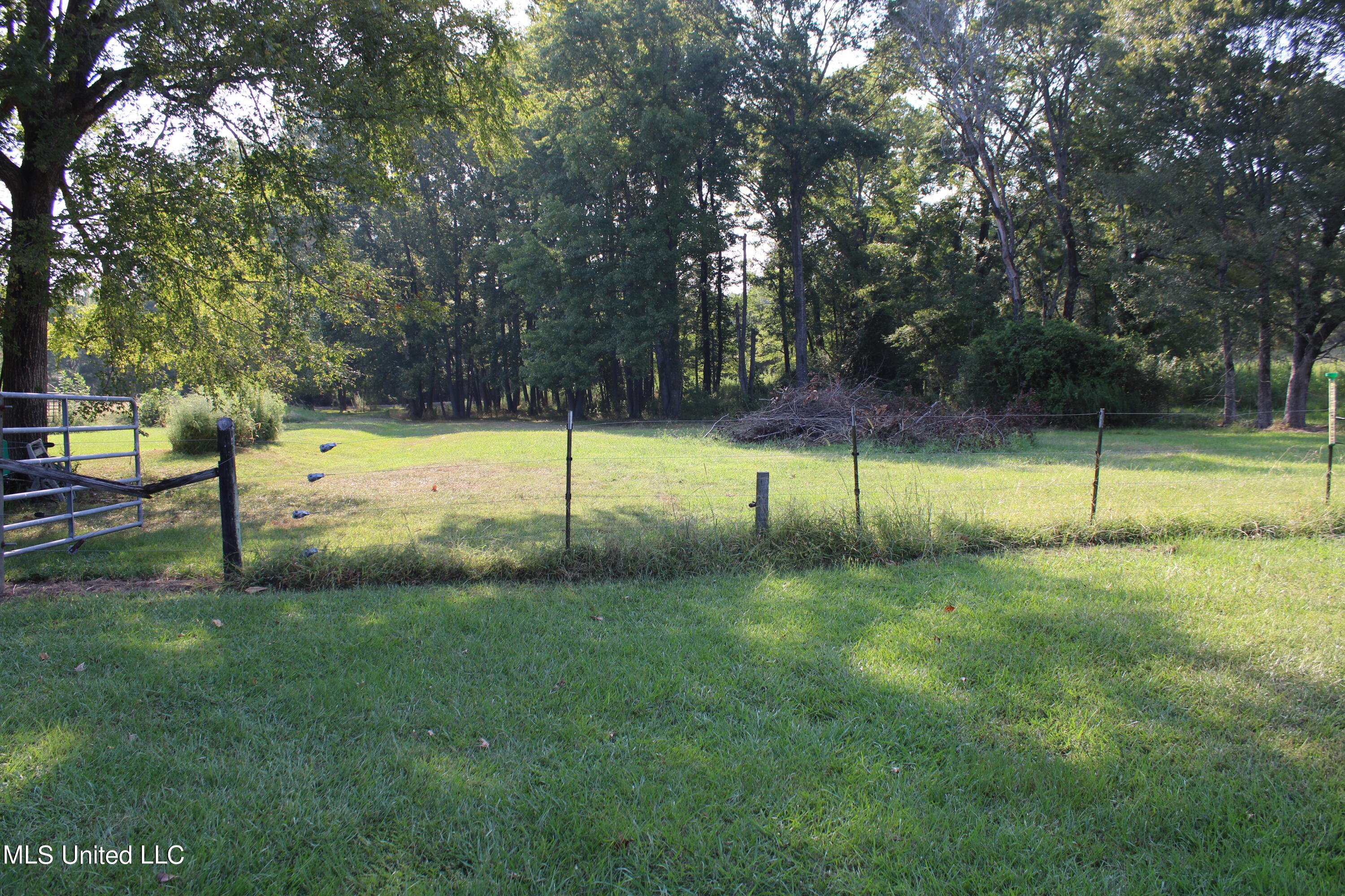 294 Yandell Road Canton, MS 39046 - Photo 12 of 13 IMG_4952