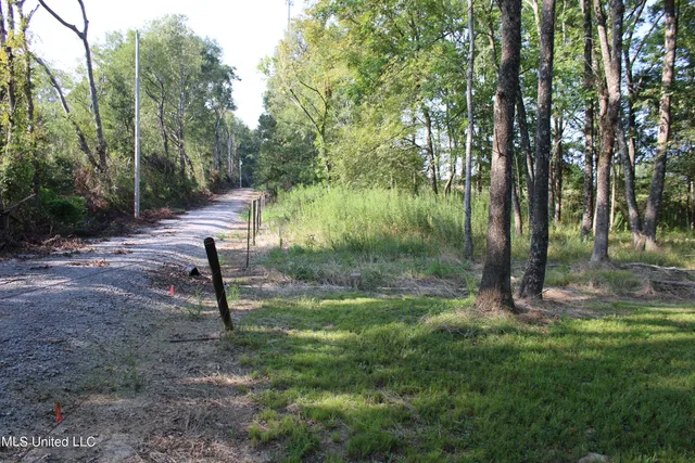 $1,500,000 | 294 Yandell Road, Canton, MS 39046