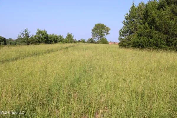 $1,500,000 | 294 Yandell Road, Canton, MS 39046