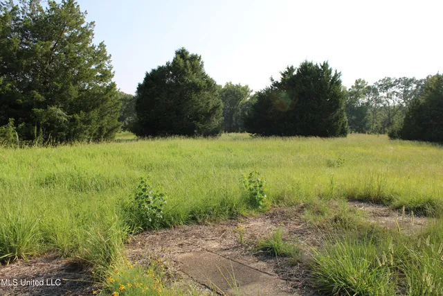 $1,500,000 | 294 Yandell Road, Canton, MS 39046