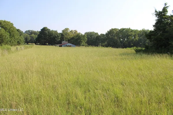 $1,500,000 | 294 Yandell Road, Canton, MS 39046