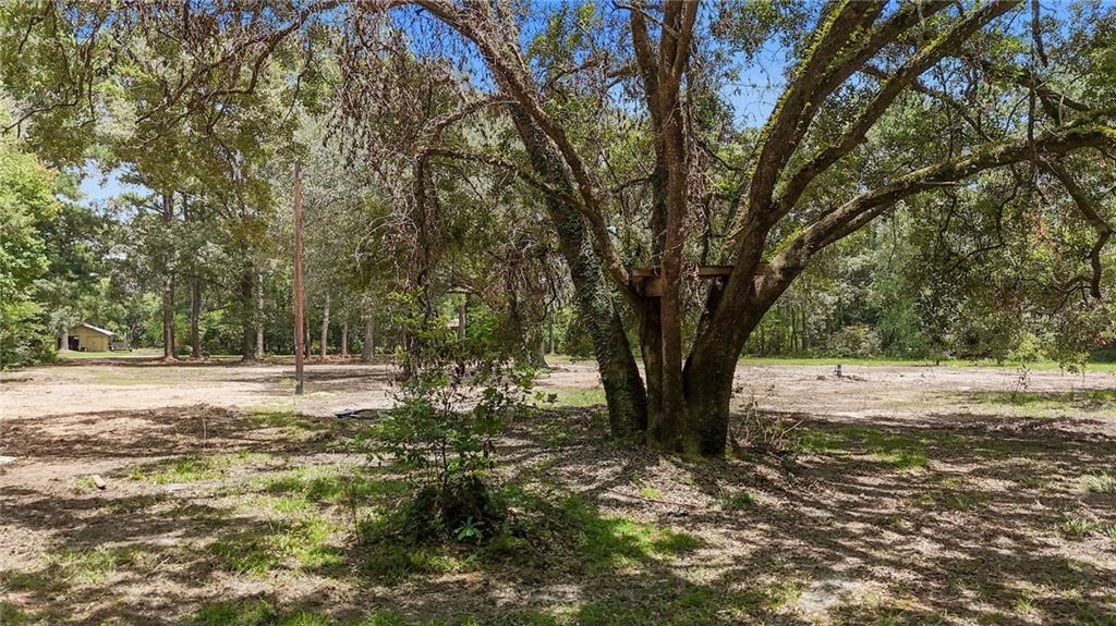 745 Brewster Road Madisonville, LA 70447 - Photo 4 of 7