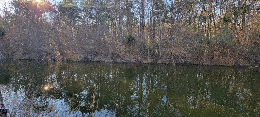 50.45-acres Trawick Road Dothan, AL 36301 - Photo 17 of 62