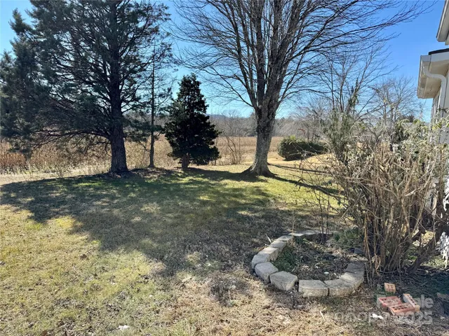 a view of a yard with a tree