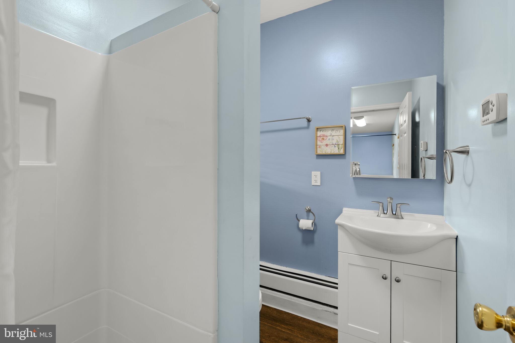 1160 Narvon Road Narvon, PA 17555 - Photo 49 of 64 a bathroom with a sink a mirror and shower