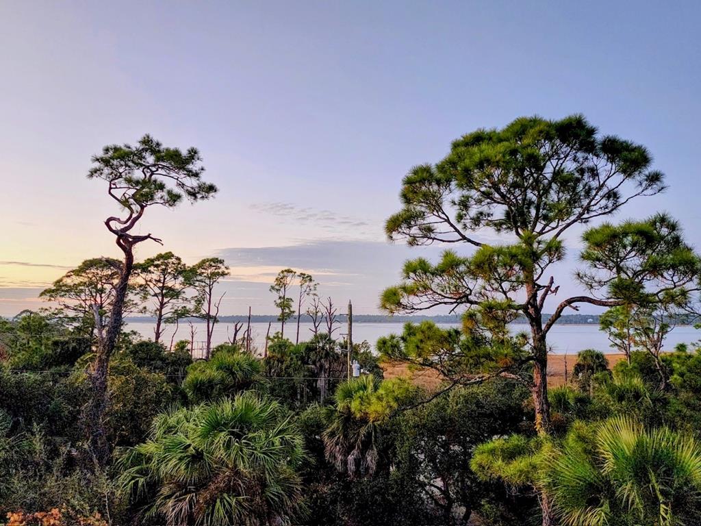 2624 Indian Pass Road Port St. Joe, FL 32456 - Photo 11 of 27