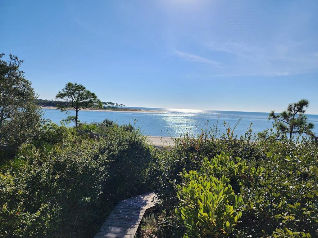 2624 Indian Pass Road Port St. Joe, FL 32456 - Photo 24 of 27