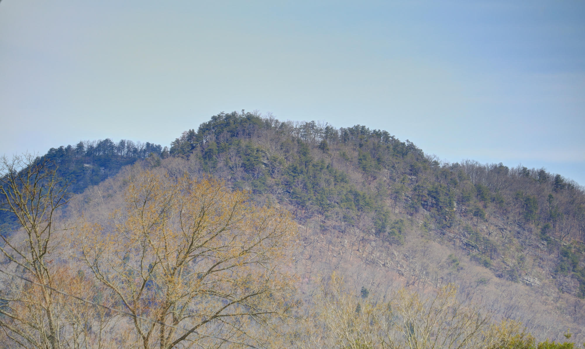 10305 Zacharytown Road Corryton, TN 37721 - Photo 20 of 22 house mtn