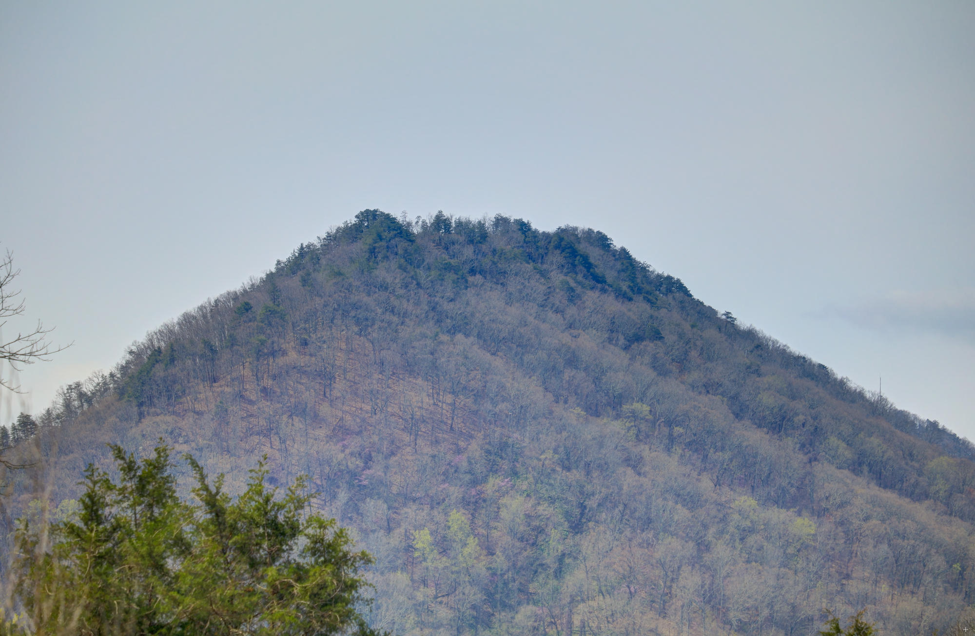 10305 Zacharytown Road Corryton, TN 37721 - Photo 21 of 22 house mtn