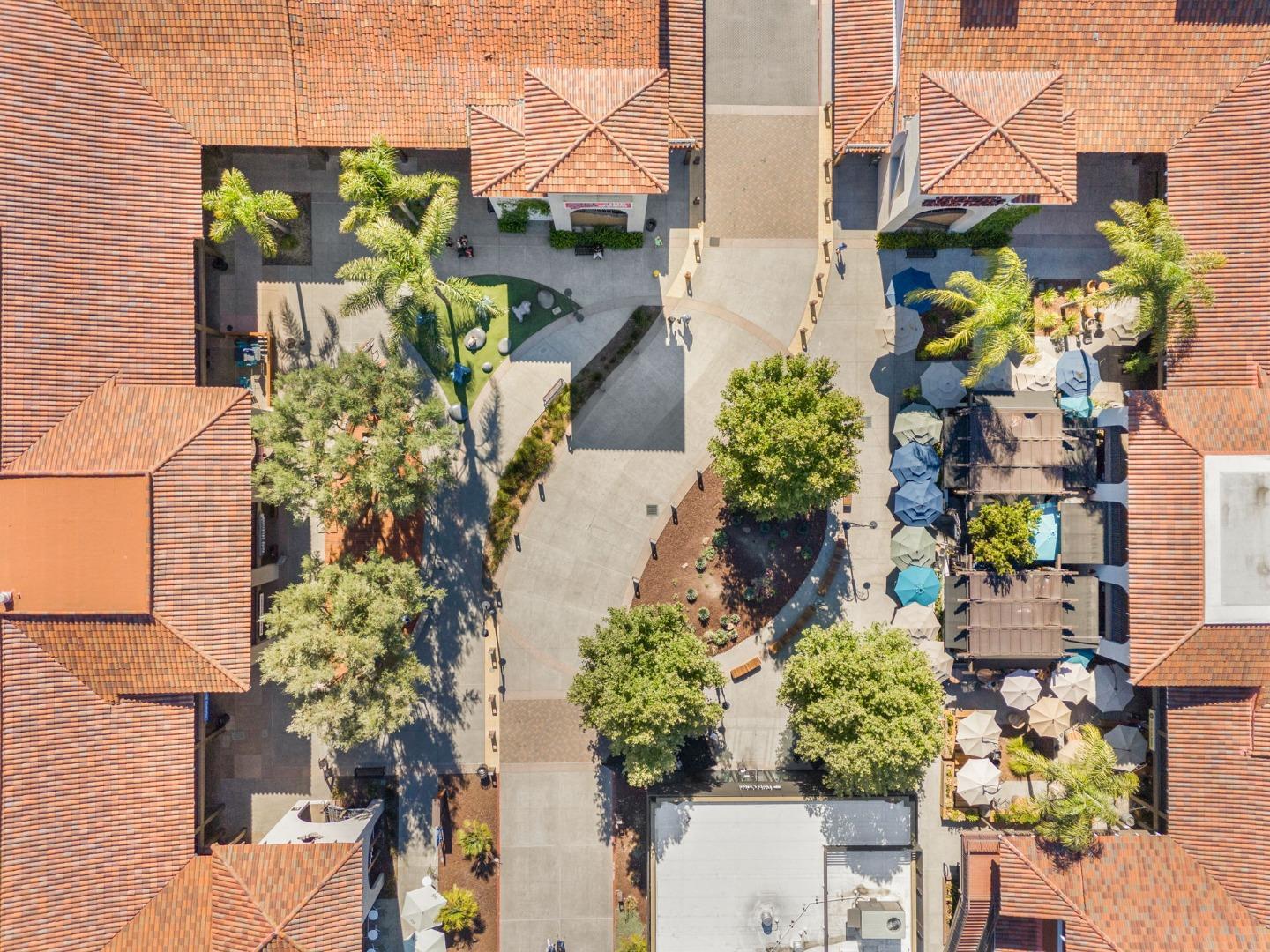 2748 Montavo Place Campbell, CA 95008 - Photo 26 of 31 a plant that has a lot of flower in