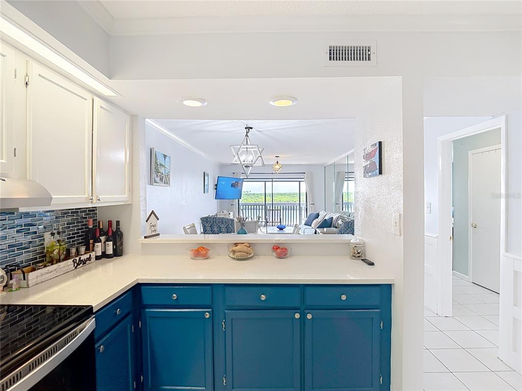 809 Bahia Del Sol Drive, Unit 72 Ruskin, FL 33570 - Photo 11 of 84
