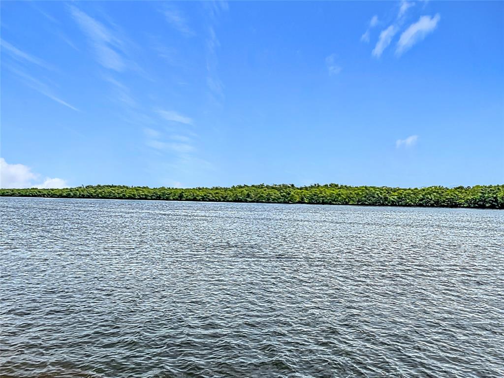 809 Bahia Del Sol Drive, Unit 72 Ruskin, FL 33570 - Photo 41 of 84