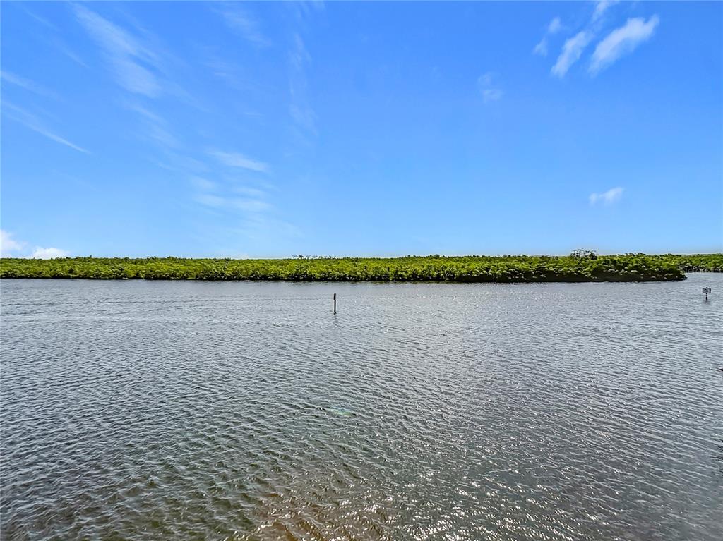 809 Bahia Del Sol Drive, Unit 72 Ruskin, FL 33570 - Photo 41 of 84
