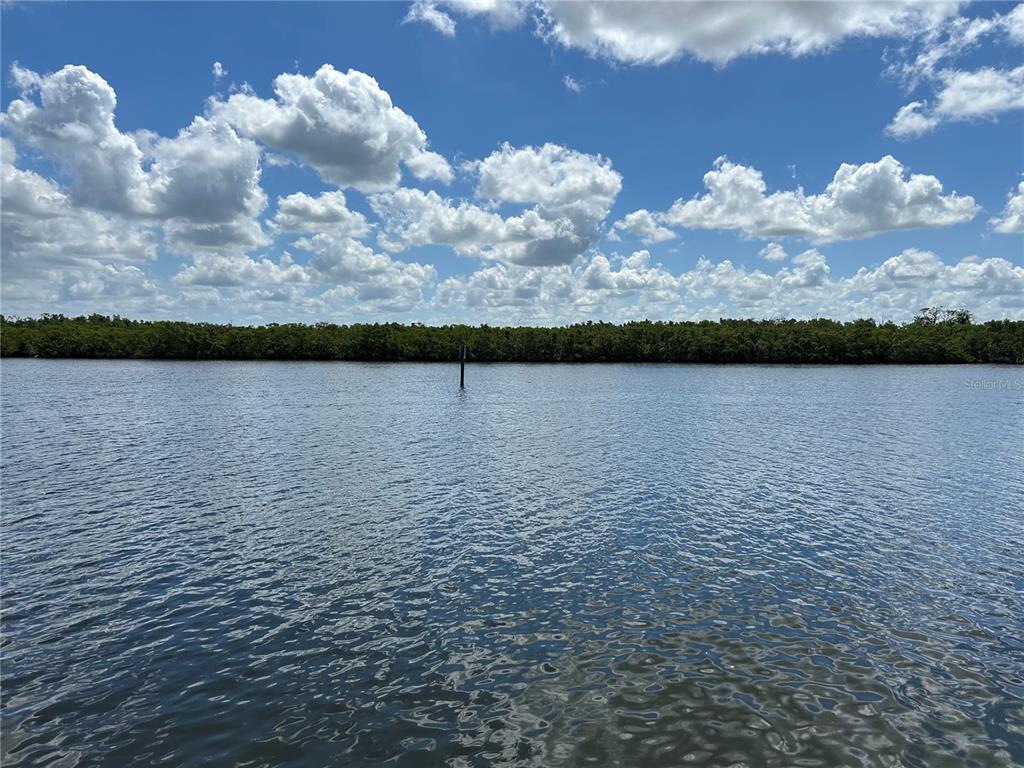 809 Bahia Del Sol Drive, Unit 72 Ruskin, FL 33570 - Photo 73 of 84