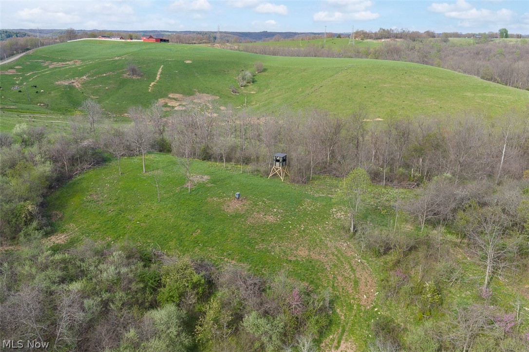81910 Ourant Road Cadiz, OH 43907 - Photo 4 of 50
