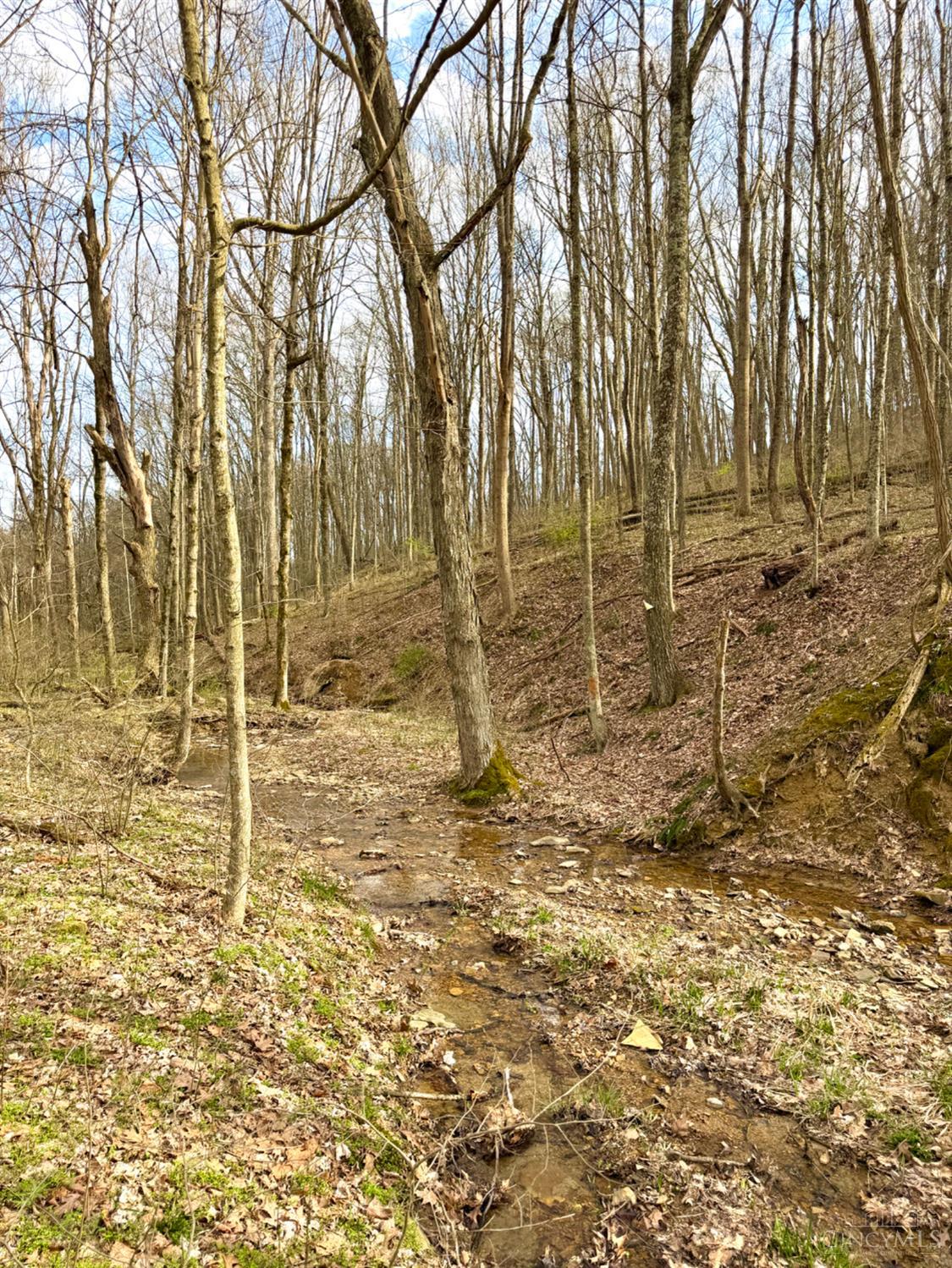 0 Fyffe Hollow Road Chillicothe, OH 45601 - Photo 13 of 96