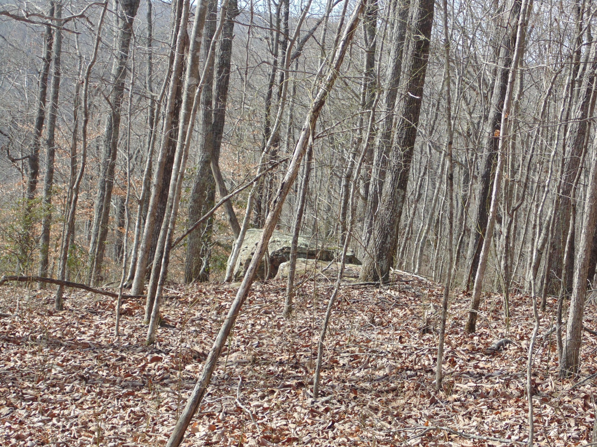 0 Nancy Wynn Road Sewanee, TN 37375 - Photo 2 of 16 Gallery Image 2