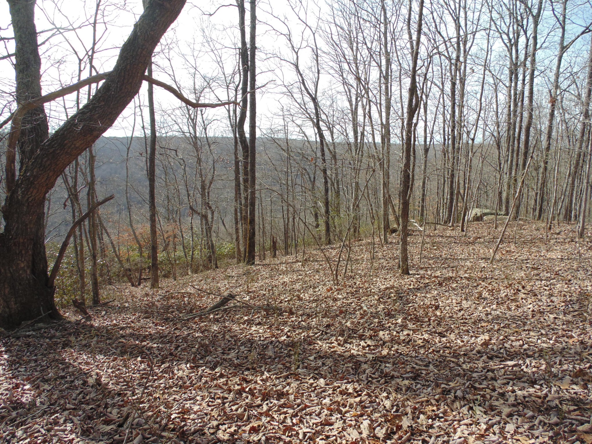 0 Nancy Wynn Road Sewanee, TN 37375 - Photo 8 of 16 Gallery Image 8