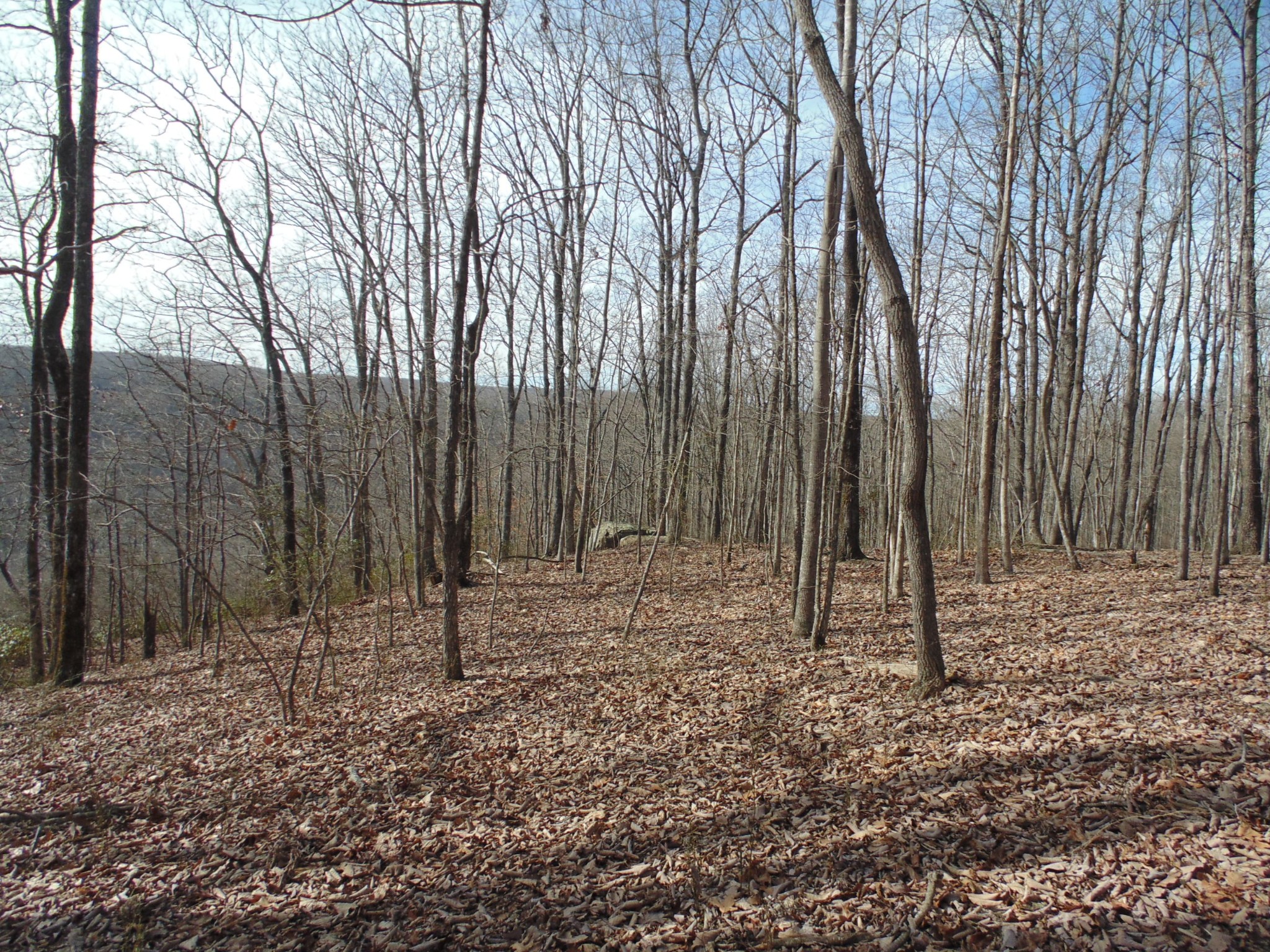 0 Nancy Wynn Road Sewanee, TN 37375 - Photo 10 of 16 Gallery Image 10
