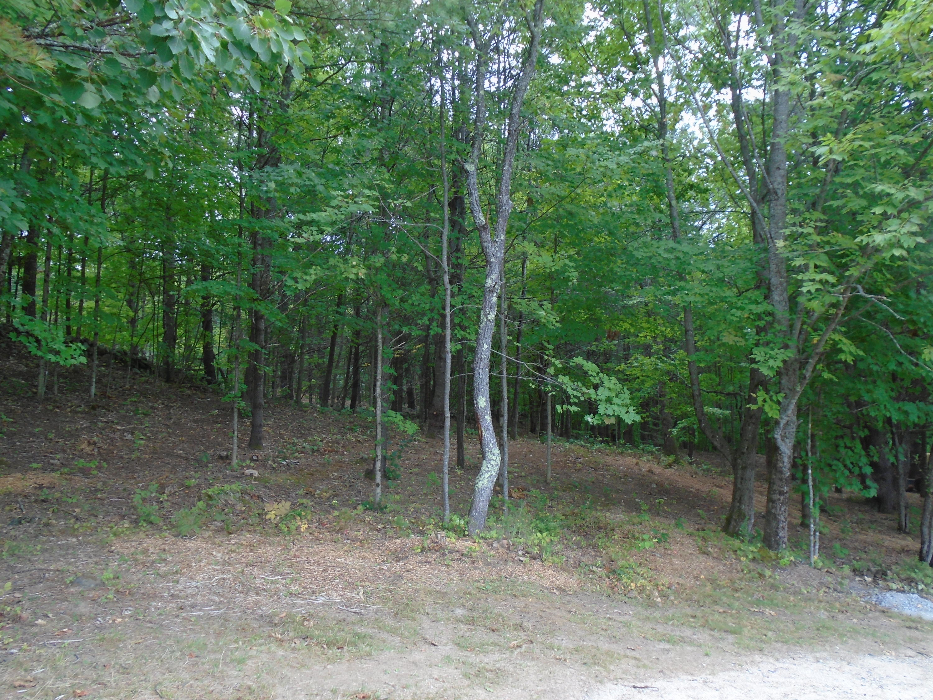216 Sanborn Road Newfield, ME 04095 - Photo 21 of 33 DSC02082