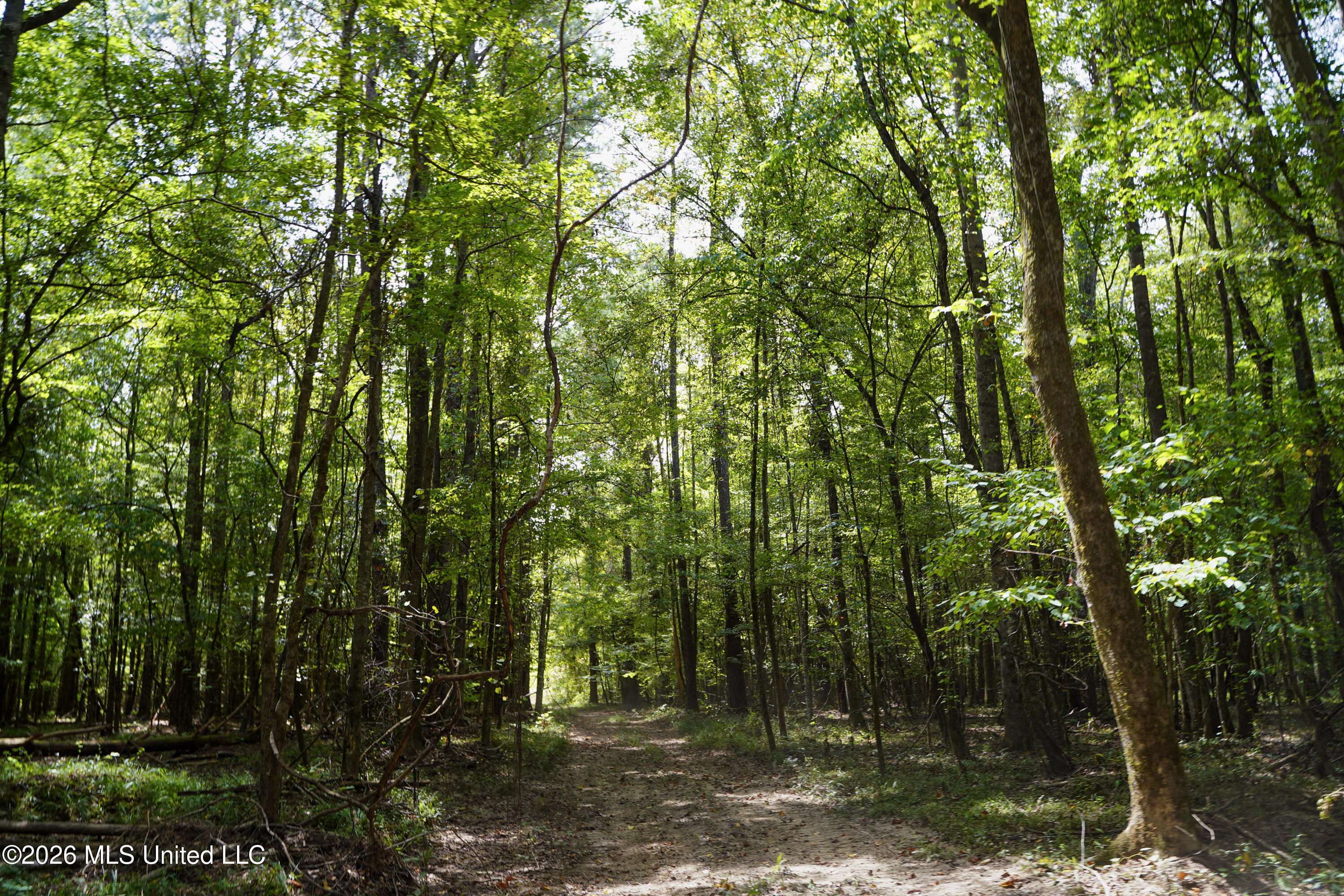 Mcintyre Road Brandon, MS 39042 - Photo 60 of 100 82-DSC08680