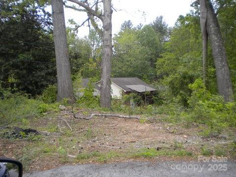 4 Weaver Hill Road Asheville, NC 28805 - Photo 11 of 11 a view of a out door space area