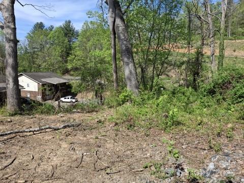 4 Weaver Hill Road Asheville, NC 28805 - Photo 2 of 11 a view of a house with a yard
