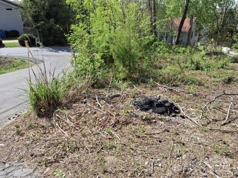 4 Weaver Hill Road Asheville, NC 28805 - Photo 3 of 11 a backyard of a house with lots of green space