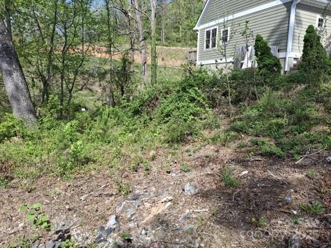 4 Weaver Hill Road Asheville, NC 28805 - Photo 4 of 11 a view of a house with a yard