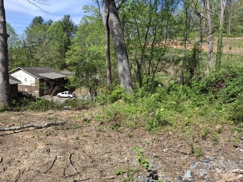 4 Weaver Hill Road Asheville, NC 28805 - Photo 5 of 11 a view of a big yard with plants and large trees