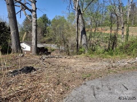 4 Weaver Hill Road Asheville, NC 28805 - Photo 7 of 11 a backyard of a house with lots of green space