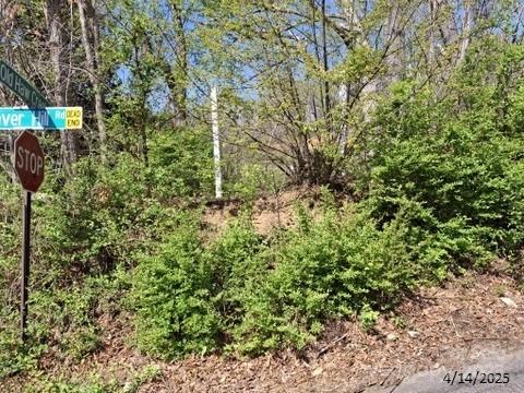 4 Weaver Hill Road Asheville, NC 28805 - Photo 10 of 11 a view of a yard