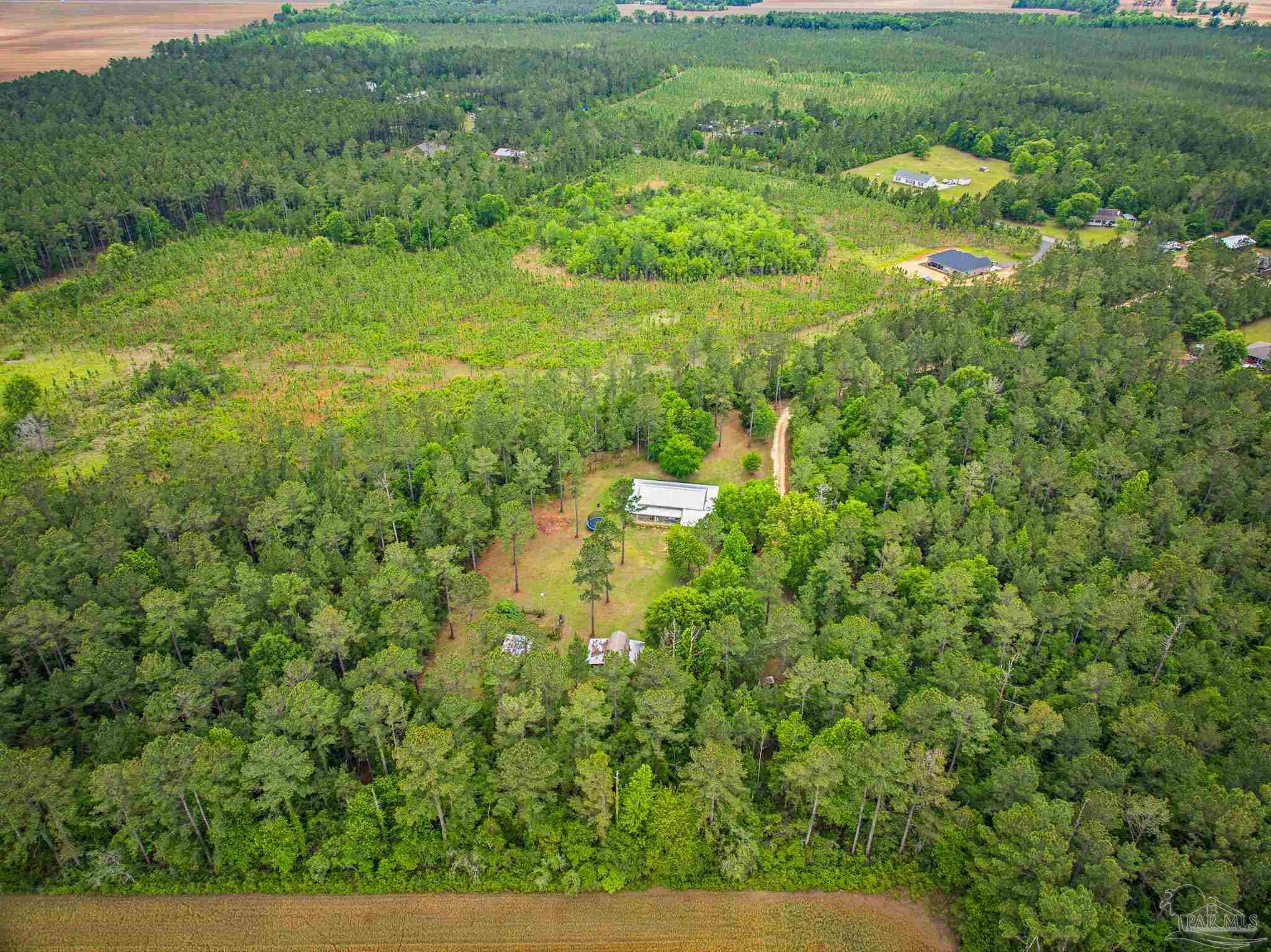 1660 Annie Penton Road Jay, FL 32565 - Photo 59 of 65