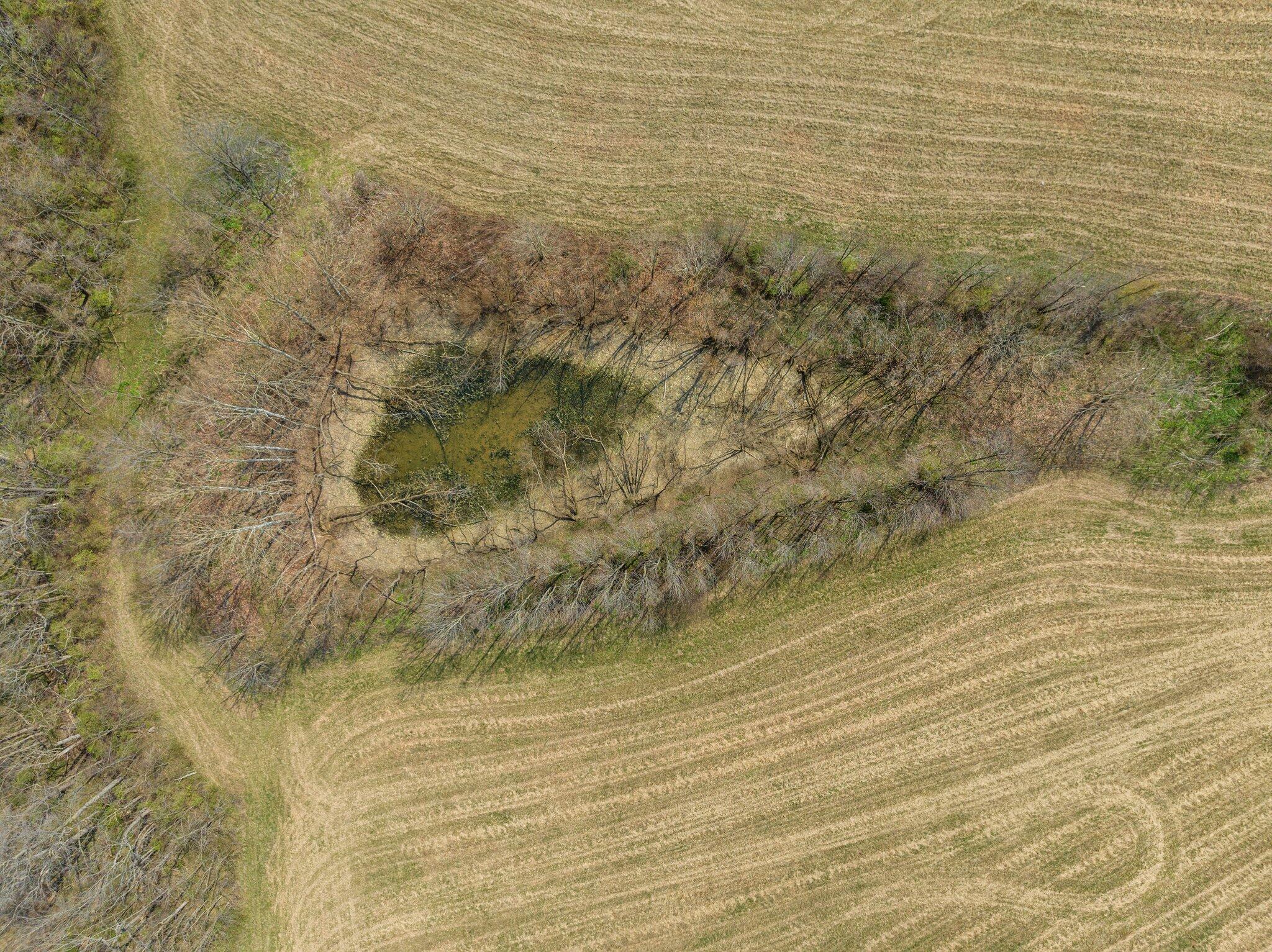6331 Moorefield Road Carlisle, KY 40311 - Photo 36 of 41 36-web-or-mls-DJI_0255