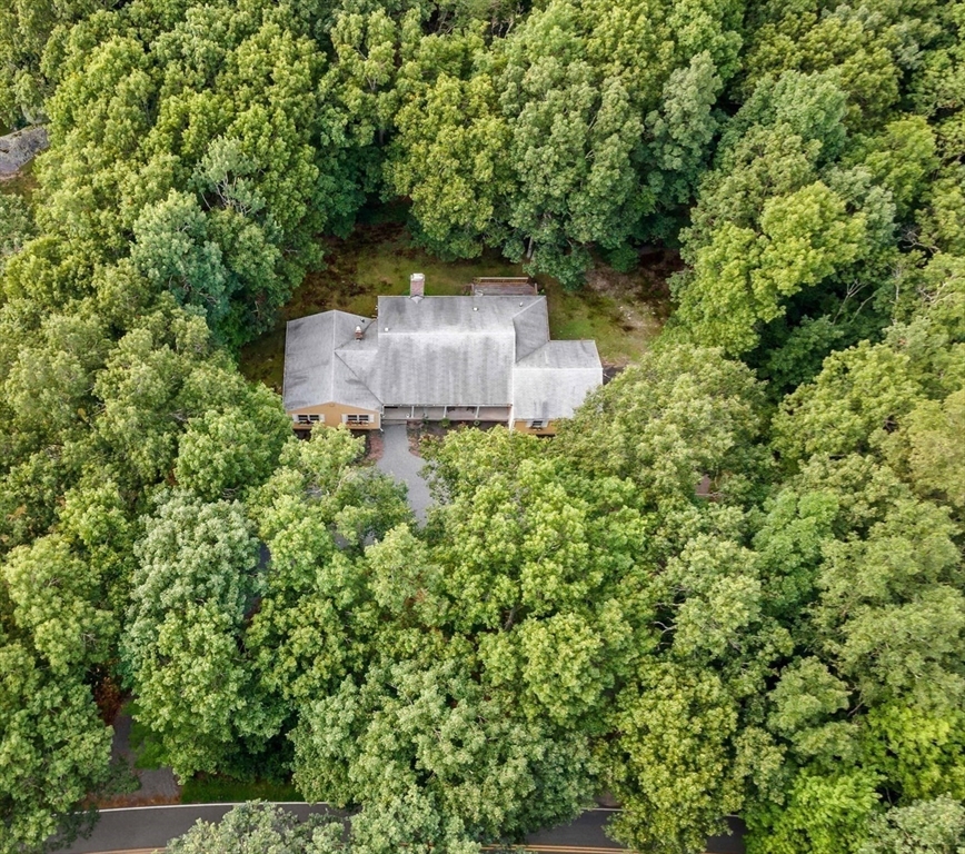 26 Danforth Street Rehoboth, MA 02769 - Photo 2 of 30 a view of a tree in a yard