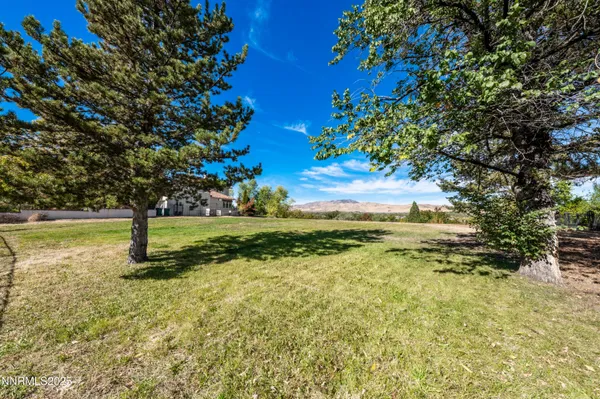 a view of a yard with a tree