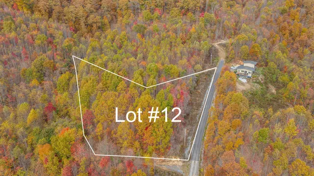 $35,000 | Tbd Majestic Drive, Duffield, VA 24244