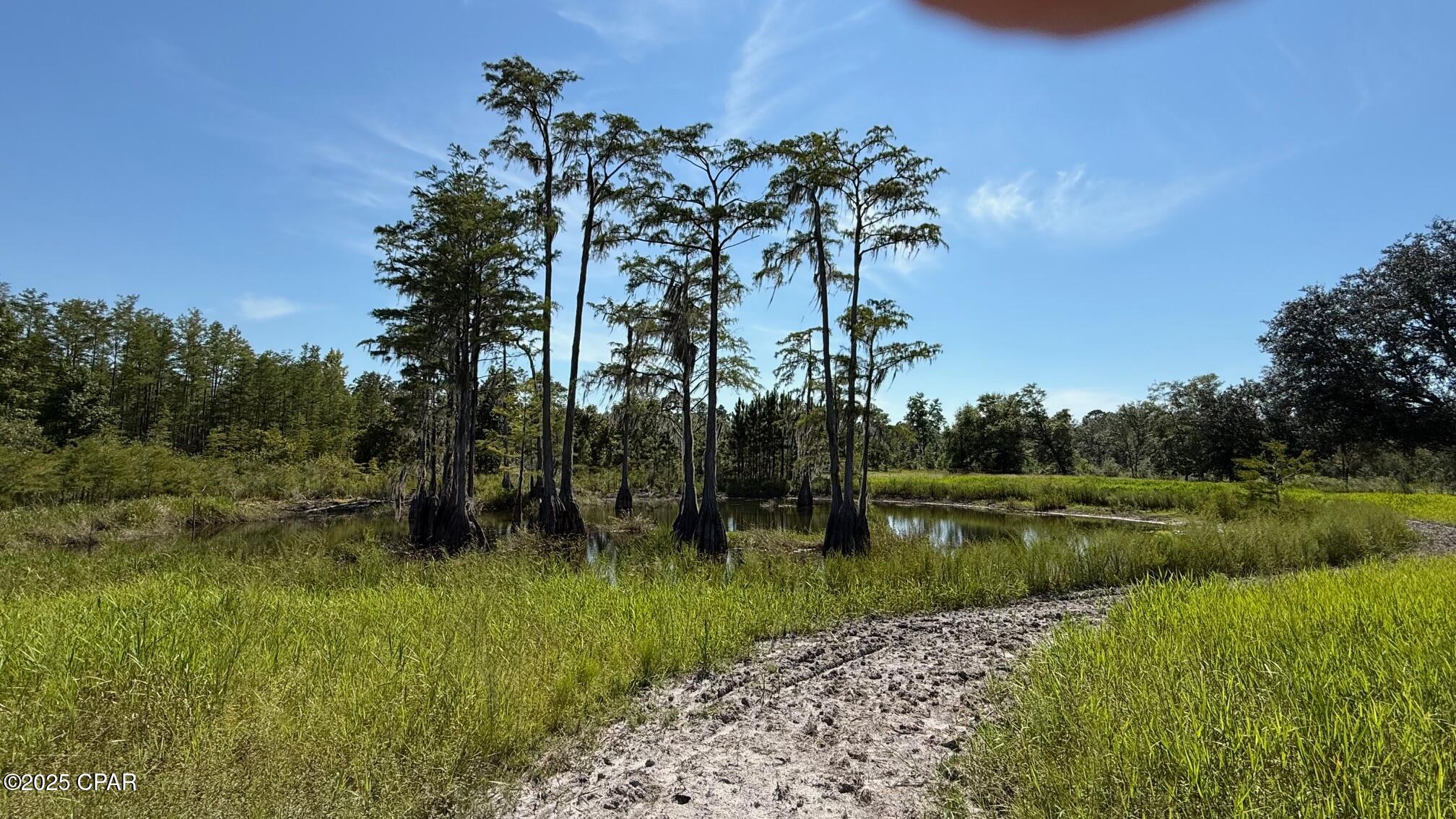 0 Jewell Road Chipley, FL 32428 - Photo 4 of 5